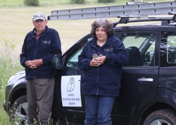 Warminster embroiderer joins nationwide revival of medieval stitching craft