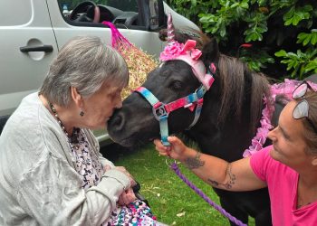 Pony therapy brightens spirits in care homes and communities