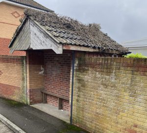 The book stop before its transformation. 