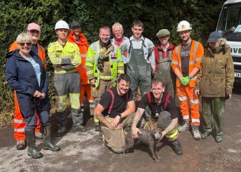 Dog rescued from drainage pipe near Warminster