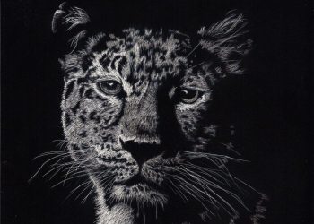 Over 80 artists open their doors for Peacock Art Trail