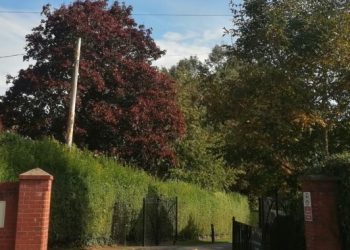 New entrance planned for Lake Pleasure Grounds