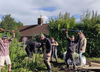 Local gardening project invites community to pick fresh produce