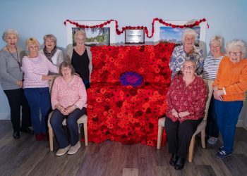 Poppy display raises money for Royal British Legion
