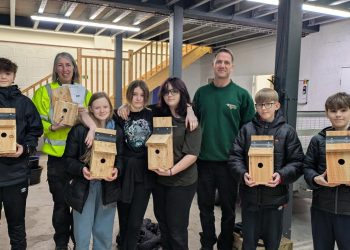 Local students build nest boxes for town park