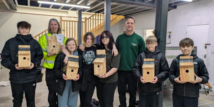 Local students build nest boxes for town park