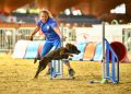 Second World Championships call-up for local agility pair