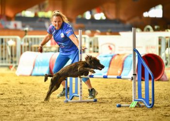 Second World Championships call-up for local agility pair