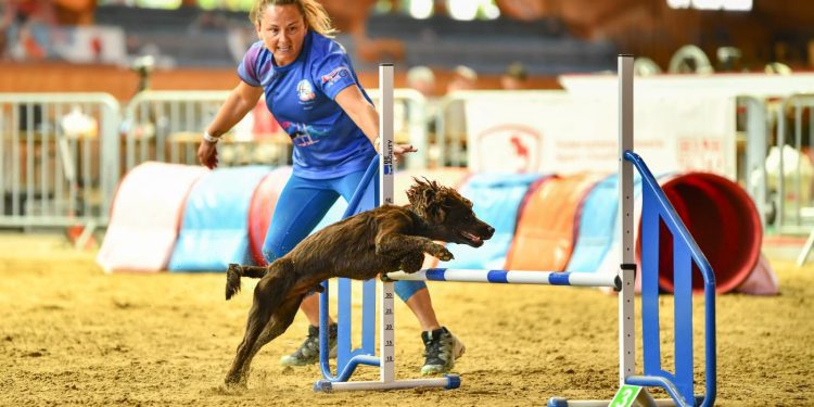 Second World Championships call-up for local agility pair