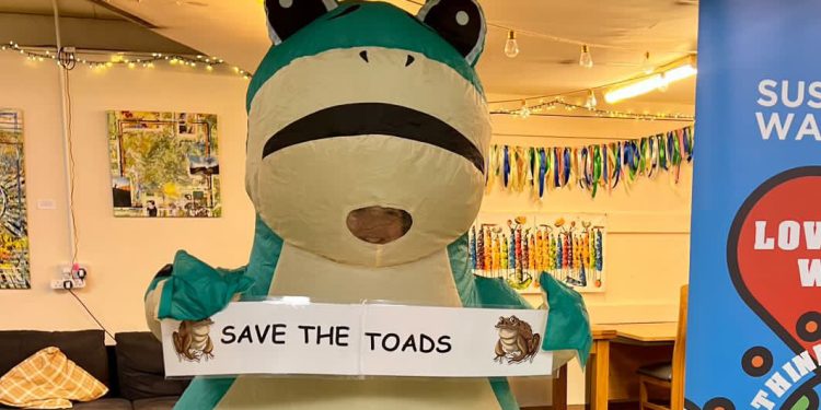 Poster competition to protect local toads