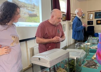 Toad party brings community together to support toad patrol