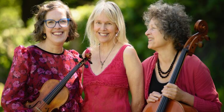 Daytime classical concerts at Warminster Civic Centre