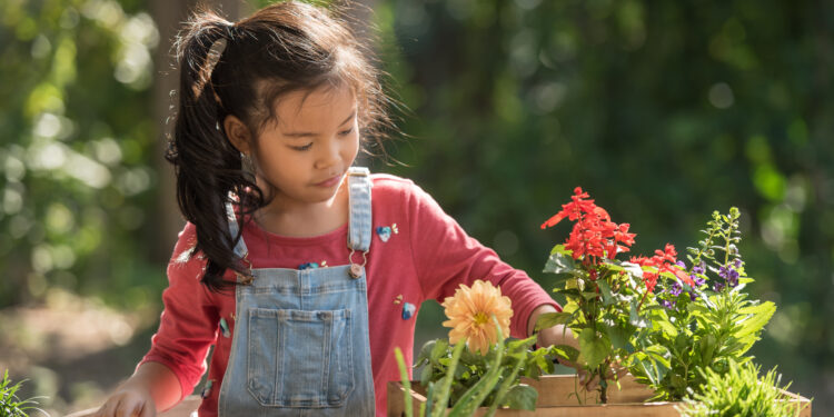 Sustainable Warminster Column: Earth Day