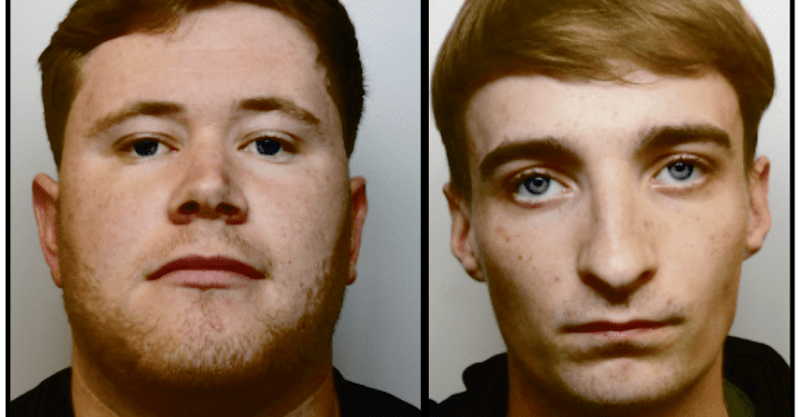 Warminster man jailed for large‑scale money laundering and drug supply