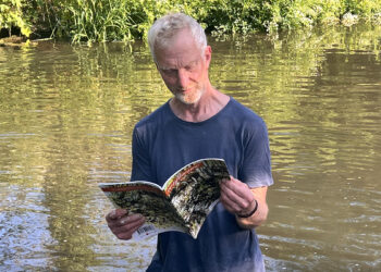 Identification board helps visitors spot wildlife at nature reserve mural