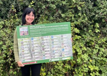 Identification board helps visitors spot wildlife at nature reserve mural
