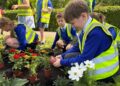 Schoolchildren brighten town with annual flower planting