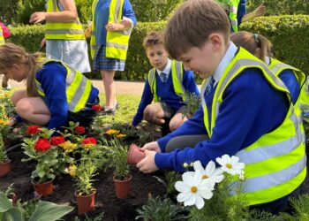 Schoolchildren brighten town with annual flower planting