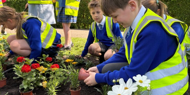 Schoolchildren brighten town with annual flower planting