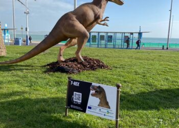 Loyalty scheme to boost local economy throughout Roarminster