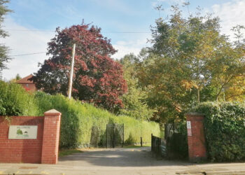 New CCTV cameras installed in town park