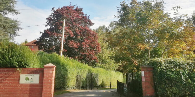 New CCTV cameras installed in town park