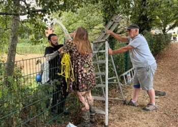 Community rallies to rescue swans in danger