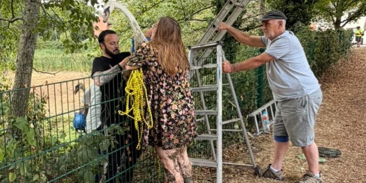 Community rallies to rescue swans in danger